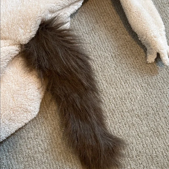 Pottery Barn Kids Where The Wild Things Are Costume Size 2T - Picture 6 of 6